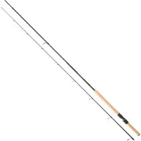 Daiwa Procaster Sea Forellenrute