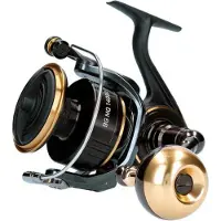 Daiwa Bg Mq Ark 2020 Jigging-rolle