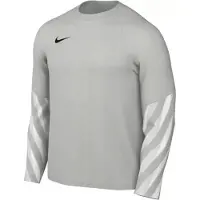 Nike Dri-FIT Park V Torwarttrikot Herren L