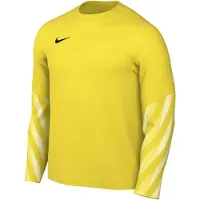 Nike Dri-FIT Park V Torwarttrikot Herren L