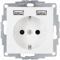 USB Schutzkontakt-Steckdose inCharge Pro, 2x , 2,4 A, reinweiß glänzend