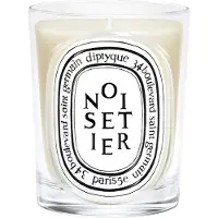 Diptyque Noisetier Classic Candle 190 g