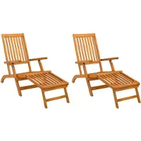 vidaXL Liegestuhl zum Verstellen und Klappen 2 pcs 55 x 146 x 91 cm
