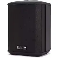 Aiwa Ax-1pro Lautsprecher