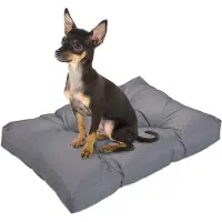Famanu Hundebett für kleine Hunde - Wasserabweisend, 75 x 50 cm - Waschbar und komfortabel
