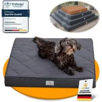 OEM Orthopädisches Hundebett wasserdicht Antirutsch 70x60x8 cm