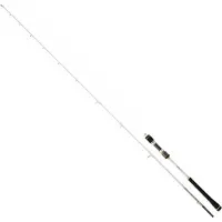 Daiwa Megaforce Jiggingrute Silber 1.70 m / 90-210 g Silber 1.70 m