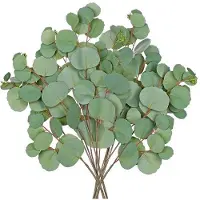 OEM Kunst-Eukalyptus-Takken 77cm grün Dekoration