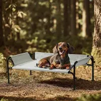 OEM Erhöhtes Hundebett, grau, S, 88x55,5x31cm, robust und waschbar