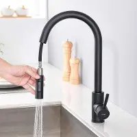 OEM Küchenarmatur Edelstahl Schwarz ausziehbar 2 Strahlarten 50 cm Auslauf