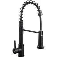 OEM Edelstahl schwarze ausziehbare Küchenarmatur