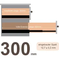 HENGDA 2X Schubladenschienen Vollauszuege 300 mm Schubladen Fuehrung kugelgelagert Tragkraft 45 kg