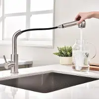OEM Wassertap mit ausziehbarem Sprühkopf - Modernes Design - Matt Schwarz
