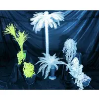 Europalms Dekofarn zum Selbstfärben