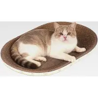 Markenlos Pappkratzer für Katzen,Lustiges Atmungsaktives Ovalbett | Bequeme Kratzunterlage Für Katzen - Für Wohnzimmer Schlafzimmer Und Innenbereich