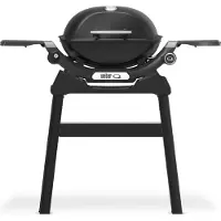Weber Q1200N Gasgrill mit Ständer