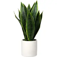 Unyqoos Kunstpflanze Sansevieria – 40,6 cm hoch, 15–20 cm breit, weißer Keramiktopf, realistische pflegefreie Pflanze aus weichem Kunststoff
