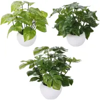 Unyqoos 3er-Set realistische künstliche Zimmerpflanzen in Töpfen – Monstera, goldene Pothos & Efeu, pflegefrei, Kunststoff, H ≈19 cm, B 24 cm, Topf H 6 cm Ø 8,5 cm