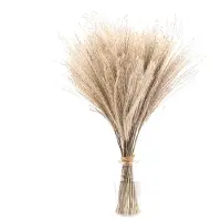 Unyqoos 50er-Set getrocknetes Deko-Gras – 100% natürliches, neutrales Ziergras für Vase, Wohnzimmer, Schlafzimmer & Hochzeit