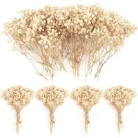 Unyqoos Getrocknete Gypsophila (Schleierkraut), elfenbeinweiß – 70 Stiele, ca. 15 cm | Deko- & Bastelblumen für Hochzeit, Kränze