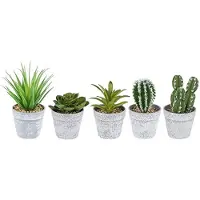 Unyqoos Set mit 5 künstlichen Sukkulenten in grauen Töpfen – naturnahes Design, pflegefreie Deko für Zuhause & Büro