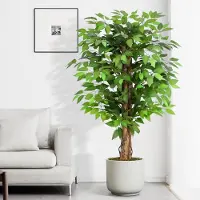 Unyqoos Künstlicher Ficusbaum 120 cm – 588 realistische Seidenblätter, grün, pflegeleicht, 3 Naturstämme, echtes Trockenmoos, schwarzer Topf, formbare Zweige
