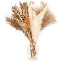 Unyqoos 104‑teiliges Set getrockneter Pampasgräser & Trockenblumen – 11 Sorten (weiß, Bunny‑Tails, Weizenhalme, Schilf) für Boho‑Deko Zuhause, Büro & Events