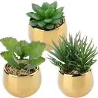 Unyqoos 3er-Set realistische künstliche Sukkulenten in Keramiktöpfen – pflegeleicht, H 8,9–12,4 cm, Topf Ø 7,1 cm