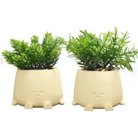 Unyqoos Set aus 2 pflegefreien Kunstpflanzen mit lächelnden Gesichtern & fußförmigen Töpfen, realistisch, 10 x 8 cm – Deko für Wohnzimmer & Büro