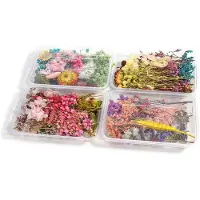 Unyqoos Set mit 4 Schachteln natürlicher getrockneter Blumen – Auswahl für kreative DIY‑Projekte, Schmuck, Karten & Wohn‑Dekoration