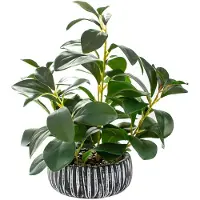 Unyqoos Künstliche grüne Zimmerpflanze 32 cm mit rustikalem schwarzen Ton-Topf (15 × 7,5 cm) – realistische Deko für Wohn-, Bad- & Arbeitsbereich
