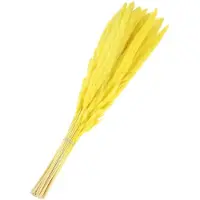 Unyqoos 30er-Set künstliches Pampasgras (Polyester) – Pflegeleichtes Deko-Pampasgras für Vase, Wohnraum, Hochzeit & Events, allergiefrei, natürliche Optik