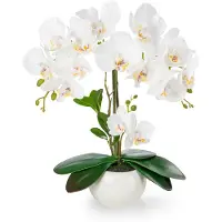 Unyqoos Künstliche Orchideen im n Hochglanz-Keramiktopf, Weiß – Realistische, pflegeleichte Deko für Wohnzimmer, Bad & Büro