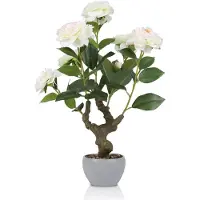 Unyqoos Künstliche Kamelienpflanze im Steintopf – realistische Deko-Kamelie mit weißen Blüten, Gummistamm und farbechten Stoffblättern, 34×30×51 cm, für Haus & Büro