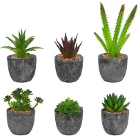 Unyqoos 6‑teiliges Set lebensnahe Mini-Kunstpflanzen, grau, PE-Kunststoff, Topf Papierpulp 4 x 5,6 cm, Höhe 7,5–16,5 cm – pflegeleichte Innen-Deko