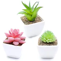 Unyqoos Kunstpflanzen-Set 3er mit Topf – realistische PVC-Pflanzen, samtrote Edelsteinblüte (6 x 8 cm), Aloe (6 x 10 cm), geflockte 'Chihuahua' (6 x 7,8 cm) für Zuhause & Büro