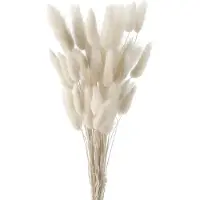 Unyqoos Getrocknetes Pampasgras – flauschige Trockenblumen, natürliche Boho-Dekoration für Wohn- & Bürobereich, pflegeleicht und individuell kürzbar