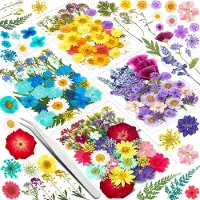 Unyqoos 159-teiliges Bastelset mit getrockneten Blumen & Pinzette – 4 separate Sets, vakuumverpackt für Schmuck, Epoxidharz, Kerzen & Nageldesign