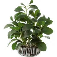 Unyqoos Künstliche Peperomia – ca. 33 cm, realistische Kunstpflanze in schwarzem Zementtopf (Ø 15 x H 5,5 cm), Kunststoff mit Eisendraht, für Innen & Außen