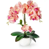 Unyqoos Künstliche Orchidee – pflegeleicht, 40 cm, im weißen Hochglanz-Keramiktopf