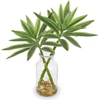 Unyqoos Lebensechte Dracaena-Kunstpflanze 36 cm – grün in eleganter Glasvase mit künstlichem Wasser, pflegefrei, hochwertiger Kunststoff für Wohn- & Bürodeko