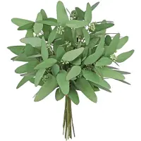 Unyqoos Eukalyptus-Kunstzweige – pflegeleichte PE-Dekozweige, ca. 40 cm, naturgetreue Blätter für Vasen, Sträuße & Tischdekoration