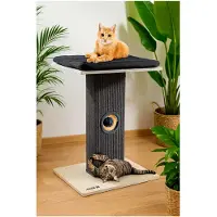Markenlos Kleiner Kratzbaum Grau | Sisal Kratzbaum für Katzen | Katzenliege aus Leinen | Katzenbaum für große Katzen | Stabil und modern aus Naturholz | Kratzsäule | Kratzstamm
