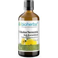 Bioherba Tribulus Terrestris Erd-Burzeldorn Tropfen Tinktur 100 ml