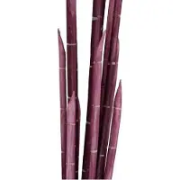 Europalms Magic Zwiebelrohr, künstlich, rosa, 134cm