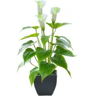 Unyqoos Künstliche Calla-Lilie – 38,1 cm Deko-Pflanze im schwarzen Topf, Kunststoff & Seidenblätter, realistische Optik, pflegefrei
