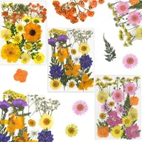 Unyqoos 66-teiliges Set getrocknete, gepresste Blüten – vakuumverpackte Trockenblumen für Basteln, Deko, Nageldesign und Schmuck