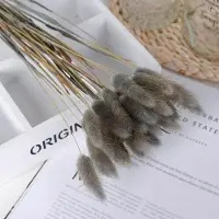 Unyqoos 60 Stück getrocknetes Pampasgras – natürliches Trockenblumen-Bouquet für Bodenvase, Tischdeko & Hochzeit, 100% natürlich, ungiftig
