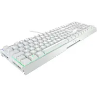 XTRFY MX 3.1, Kabelgebunden, USB, Mechanischer Switch, QWERTZ, RGB-LED, Weiß