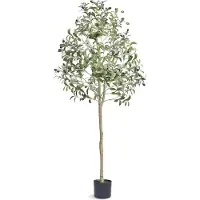 Unyqoos Künstlicher Olivenbaum 155 cm – realistische, pflegefreie Deko für Innen & Außen, PE-Material (Proposition 65), rostfreie Stahläste, 60 x 60 x 155 cm, geruchlos & wasserdicht